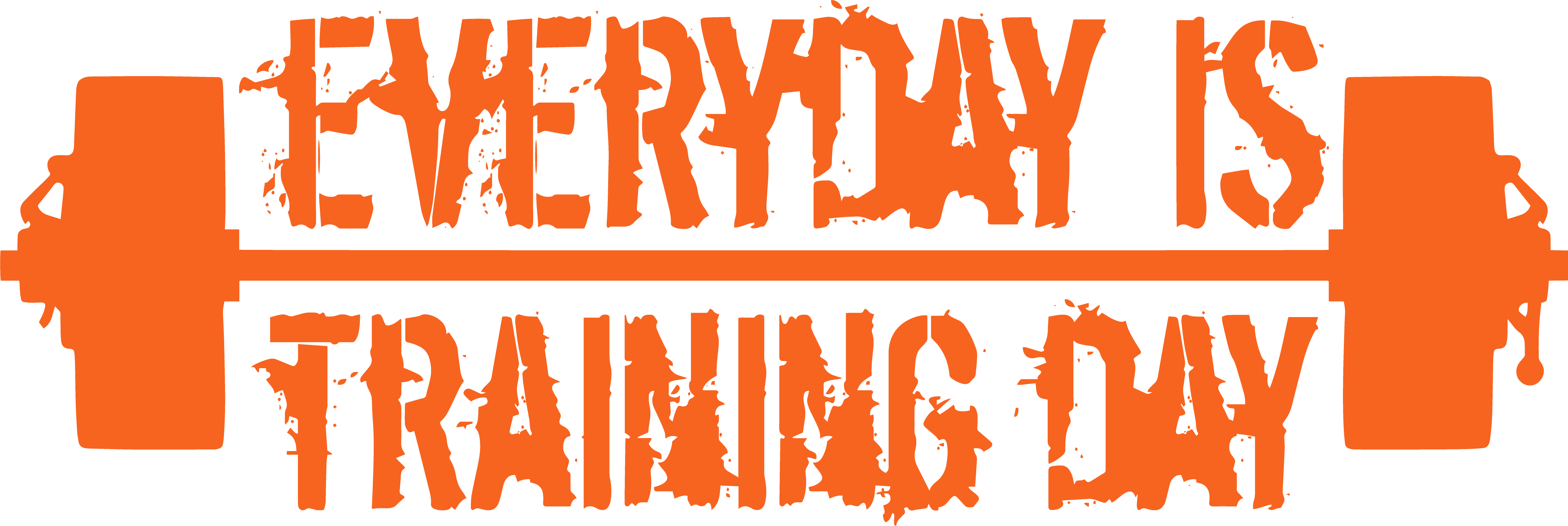 EverydayIsTrainingDay_orange Everyday is Training Day