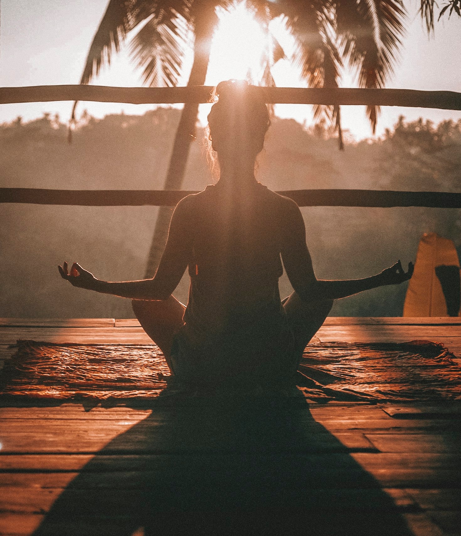 Flexibility and Mobility: The Key to Longevity
